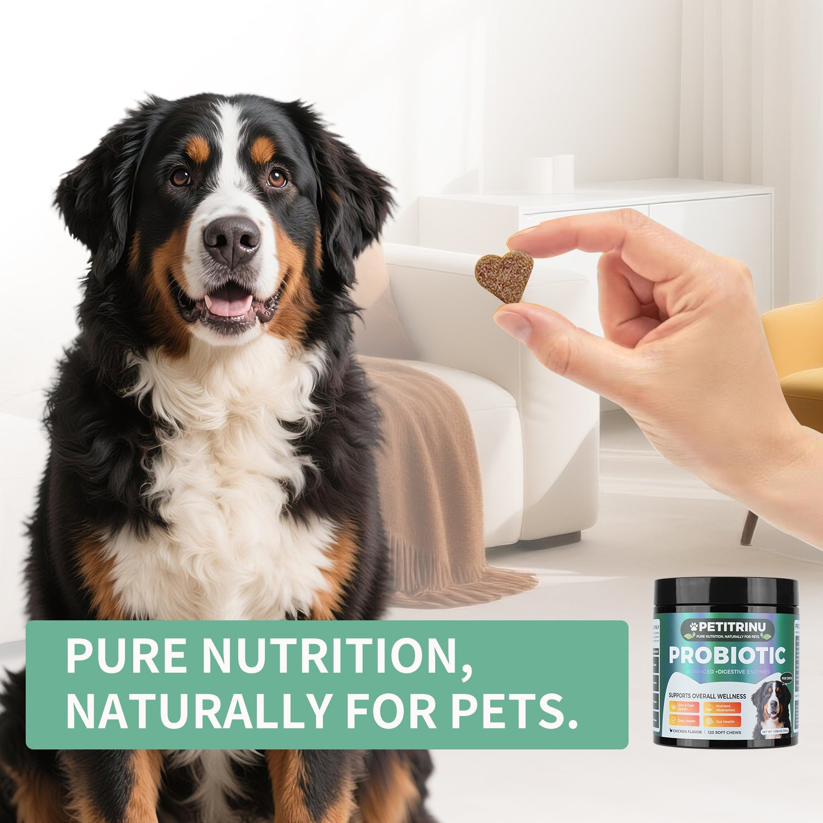 Comprehensive Dog Probiotic & Digestive Enzymes Supplement, 120 Soft